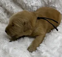 processed/fe749c32-54d7-40af-bc8a-5767d5ead43b/listing/dea770ec-fd2b-4c9e-a60f-40a112ecf926/8447b408-5f92-4a02-adb8-875bcb569357