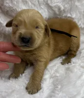 processed/fe749c32-54d7-40af-bc8a-5767d5ead43b/listing/dea770ec-fd2b-4c9e-a60f-40a112ecf926/aab2879d-82f2-463e-9205-fa2afc34b531