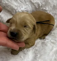 processed/fe749c32-54d7-40af-bc8a-5767d5ead43b/listing/dea770ec-fd2b-4c9e-a60f-40a112ecf926/c4e554f6-da2f-4719-9e30-35c7283c009e