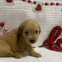 processed/fe749c32-54d7-40af-bc8a-5767d5ead43b/listing/dea770ec-fd2b-4c9e-a60f-40a112ecf926/e2a79125-83ee-4cc2-a8e7-1fb7b9ee2f38