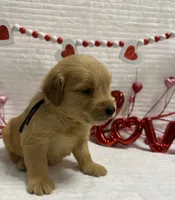 processed/fe749c32-54d7-40af-bc8a-5767d5ead43b/listing/dea770ec-fd2b-4c9e-a60f-40a112ecf926/f147bd60-59e4-4ed4-9c0d-103765ba1f1a