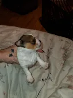 processed/fe75aaa5-ac87-426c-9e74-5a26cdfa8a21/listing/4ff04563-99e0-4d2a-8c22-230fea3c3a7b/1e0b2a31-df3d-473e-8656-158ed0f16469