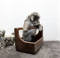 Milo, a male Maltese and Poodle - Toy  for sale in Russellville, KY – Photo 2 of 7