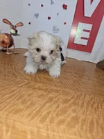 processed/fe789dbd-3318-44fc-a2e1-62add823e94f/listing/1c98c70e-733d-41ca-9a37-c7a69e0ec65a/09f650ba-d8ac-47ce-b0dd-f2ab0c5db427