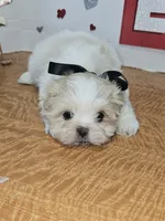 processed/fe789dbd-3318-44fc-a2e1-62add823e94f/listing/1c98c70e-733d-41ca-9a37-c7a69e0ec65a/343efa59-e6dc-48dd-8b11-c15c1f57a663