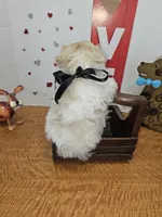 processed/fe789dbd-3318-44fc-a2e1-62add823e94f/listing/1c98c70e-733d-41ca-9a37-c7a69e0ec65a/4fae540b-aa12-40aa-b833-852dd2ed03d8