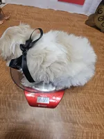 processed/fe789dbd-3318-44fc-a2e1-62add823e94f/listing/1c98c70e-733d-41ca-9a37-c7a69e0ec65a/846e1bbf-79e7-4ebc-be84-fb8fba6e6813