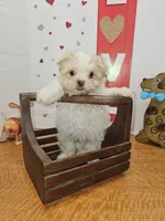 processed/fe789dbd-3318-44fc-a2e1-62add823e94f/listing/1c98c70e-733d-41ca-9a37-c7a69e0ec65a/dc890174-f04c-4e04-a40b-615dd12929ab