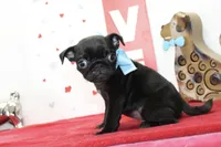 processed/fe789dbd-3318-44fc-a2e1-62add823e94f/listing/397f486a-9beb-4085-8d16-01b11f0d9733/3a7b4c1e-d623-40cd-bd41-42a5668e9173