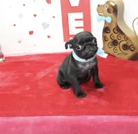 processed/fe789dbd-3318-44fc-a2e1-62add823e94f/listing/397f486a-9beb-4085-8d16-01b11f0d9733/7e9a82cd-acbd-48e2-bbd3-446868063f3b