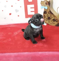 processed/fe789dbd-3318-44fc-a2e1-62add823e94f/listing/397f486a-9beb-4085-8d16-01b11f0d9733/881a37a6-c12e-4d52-b6ec-fd856c1edfe5