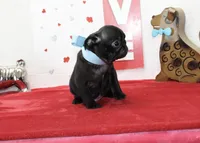 processed/fe789dbd-3318-44fc-a2e1-62add823e94f/listing/397f486a-9beb-4085-8d16-01b11f0d9733/e2298cb6-e4e4-4f78-9cf7-6bee72e9b8f1