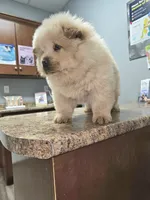 processed/fe789dbd-3318-44fc-a2e1-62add823e94f/listing/3b29fb3e-9364-4587-affe-d6651a34578a/434c2fff-0e6d-4080-bfe0-2cf0f270c2ce