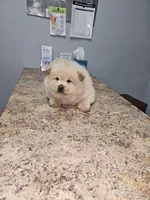 processed/fe789dbd-3318-44fc-a2e1-62add823e94f/listing/3b29fb3e-9364-4587-affe-d6651a34578a/44a312d3-6bec-4b92-bfaa-32c3104ccbc0