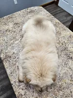 processed/fe789dbd-3318-44fc-a2e1-62add823e94f/listing/3b29fb3e-9364-4587-affe-d6651a34578a/4c2ae262-d6c3-4e31-9f08-a909b0942c0b