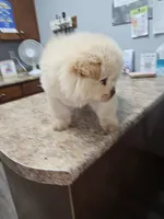 processed/fe789dbd-3318-44fc-a2e1-62add823e94f/listing/3b29fb3e-9364-4587-affe-d6651a34578a/9c6c88f0-1906-4c6b-bc89-4cf46cc93765