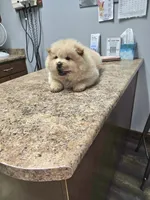 processed/fe789dbd-3318-44fc-a2e1-62add823e94f/listing/3b29fb3e-9364-4587-affe-d6651a34578a/a2b2e820-72d5-4425-b4c1-8448c6285317