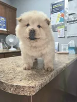 processed/fe789dbd-3318-44fc-a2e1-62add823e94f/listing/3b29fb3e-9364-4587-affe-d6651a34578a/aa41fcee-8c67-4329-b77b-94d7e932af9e