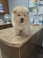 processed/fe789dbd-3318-44fc-a2e1-62add823e94f/listing/3b29fb3e-9364-4587-affe-d6651a34578a/be13fd38-16d7-4dfc-a5ed-6b91dd2ee6d8