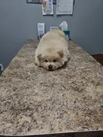 processed/fe789dbd-3318-44fc-a2e1-62add823e94f/listing/3b29fb3e-9364-4587-affe-d6651a34578a/cef62fd4-bca6-4543-baa0-469f454297bc