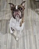 processed/fe789dbd-3318-44fc-a2e1-62add823e94f/listing/7aee2c90-c2ea-48ab-8ba7-f7a3045cace5/253db94a-75fc-49f5-8500-788d603e5c61