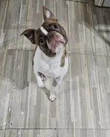 processed/fe789dbd-3318-44fc-a2e1-62add823e94f/listing/7aee2c90-c2ea-48ab-8ba7-f7a3045cace5/7493a253-0f83-4ff9-a396-c8b7ea78d621