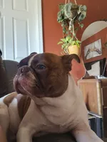 processed/fe789dbd-3318-44fc-a2e1-62add823e94f/listing/7aee2c90-c2ea-48ab-8ba7-f7a3045cace5/7db88dd2-24b5-44f1-a597-df11dade16fa