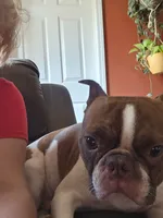 processed/fe789dbd-3318-44fc-a2e1-62add823e94f/listing/7aee2c90-c2ea-48ab-8ba7-f7a3045cace5/980d76a2-d1eb-4cec-a0d9-aa6a54b1306e