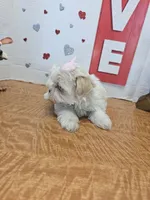 processed/fe789dbd-3318-44fc-a2e1-62add823e94f/listing/81c86102-114f-4ebe-a96d-36b2929ae565/057a7514-2404-4b3f-aa61-ccc5e3b05734