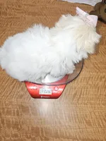 processed/fe789dbd-3318-44fc-a2e1-62add823e94f/listing/81c86102-114f-4ebe-a96d-36b2929ae565/2ab61221-8acb-4e24-9c82-7ddc56e88173