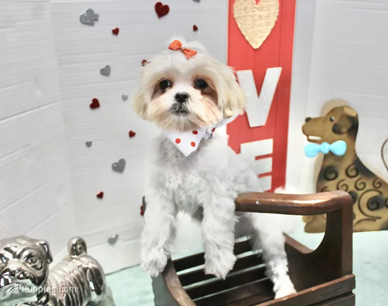 Sweetie pie toy size