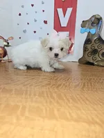 processed/fe789dbd-3318-44fc-a2e1-62add823e94f/listing/81c86102-114f-4ebe-a96d-36b2929ae565/aada62a5-3f69-4119-aa2e-760f0078a921