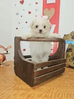 processed/fe789dbd-3318-44fc-a2e1-62add823e94f/listing/81c86102-114f-4ebe-a96d-36b2929ae565/c502a630-b4bd-4494-b966-b817f9b9c57c