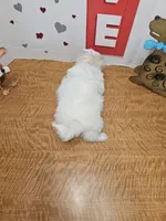 processed/fe789dbd-3318-44fc-a2e1-62add823e94f/listing/81c86102-114f-4ebe-a96d-36b2929ae565/e79a30c7-5596-4e8a-a2af-5a66a0e01cb2