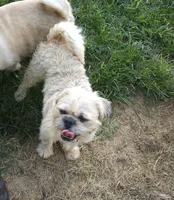 processed/fe789dbd-3318-44fc-a2e1-62add823e94f/listing/83d23565-7e4b-4511-a2ba-1a549dbba4b9/1532d230-7171-46bb-9b39-8ee2e57fe26c