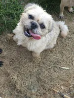 processed/fe789dbd-3318-44fc-a2e1-62add823e94f/listing/83d23565-7e4b-4511-a2ba-1a549dbba4b9/bd700c64-4f39-4b86-9958-b8819d5769b5