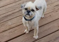 processed/fe789dbd-3318-44fc-a2e1-62add823e94f/listing/83d23565-7e4b-4511-a2ba-1a549dbba4b9/bf8f4c55-386c-4a77-9dee-d8415c73ff37