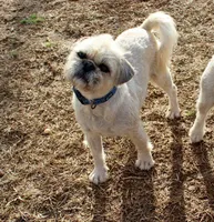 processed/fe789dbd-3318-44fc-a2e1-62add823e94f/listing/83d23565-7e4b-4511-a2ba-1a549dbba4b9/d886b670-5667-44ea-ba67-6528a5a8a47b