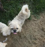 processed/fe789dbd-3318-44fc-a2e1-62add823e94f/listing/83d23565-7e4b-4511-a2ba-1a549dbba4b9/fb4844d3-b44d-42a7-8234-f0df77131794