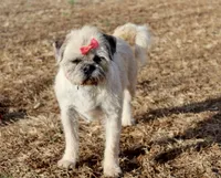 processed/fe789dbd-3318-44fc-a2e1-62add823e94f/listing/8ad3dd5d-6280-497e-91fd-727dc1575f99/3dcb2ef9-bed2-42f8-bf0c-4a37c5e3d27f