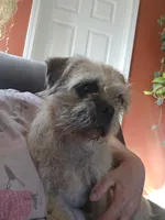 processed/fe789dbd-3318-44fc-a2e1-62add823e94f/listing/8ad3dd5d-6280-497e-91fd-727dc1575f99/4d2a5caf-866d-457a-92bf-2369ae0e1b95