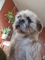 processed/fe789dbd-3318-44fc-a2e1-62add823e94f/listing/8ad3dd5d-6280-497e-91fd-727dc1575f99/9c39c2c7-2e48-49ec-a569-7270765f7f0d