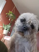 processed/fe789dbd-3318-44fc-a2e1-62add823e94f/listing/8ad3dd5d-6280-497e-91fd-727dc1575f99/a6d84ca6-098a-45ed-ba33-d0de2413c62f