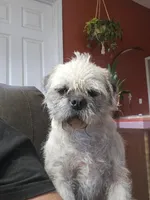 processed/fe789dbd-3318-44fc-a2e1-62add823e94f/listing/8ad3dd5d-6280-497e-91fd-727dc1575f99/a94c2c8e-ed01-4dba-bb9e-895209ac31fb