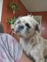 processed/fe789dbd-3318-44fc-a2e1-62add823e94f/listing/8ad3dd5d-6280-497e-91fd-727dc1575f99/b4778d21-897e-474c-a37f-b776ff18b51d