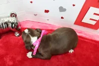 processed/fe789dbd-3318-44fc-a2e1-62add823e94f/listing/99810080-3680-4881-bbc2-a83c685a5d01/f1615ccf-6579-49ed-94ef-b79cd10e831a