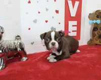 processed/fe789dbd-3318-44fc-a2e1-62add823e94f/listing/99810080-3680-4881-bbc2-a83c685a5d01/f9694c9e-8d6d-4beb-b877-7d594526e01b