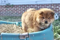 processed/fe789dbd-3318-44fc-a2e1-62add823e94f/listing/b0fdf240-9291-4659-96c2-ac41fdcbfc86/110f2aed-2bb3-4803-ad95-b90755eab1fa