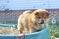 processed/fe789dbd-3318-44fc-a2e1-62add823e94f/listing/b0fdf240-9291-4659-96c2-ac41fdcbfc86/44196629-3380-4be0-a5db-ce874b7121c9