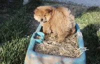 processed/fe789dbd-3318-44fc-a2e1-62add823e94f/listing/b0fdf240-9291-4659-96c2-ac41fdcbfc86/b17b607e-07e7-4374-b23a-8df3a1cda89c